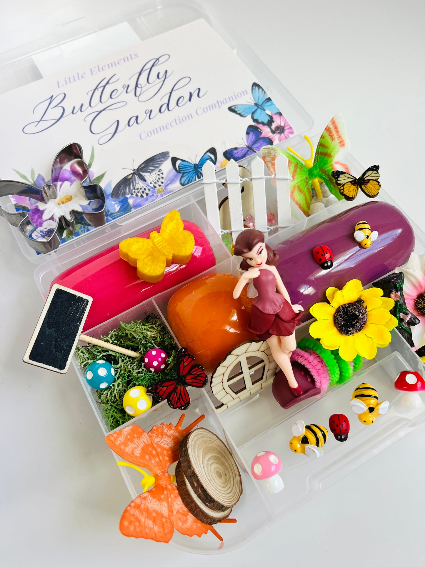 Butterfly Garden Play Dough Kit