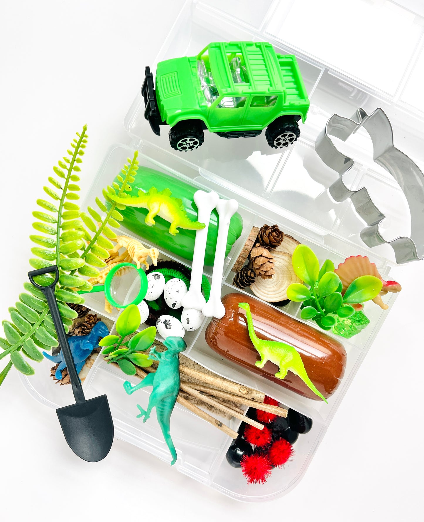 Dinosaur Discovery Kit