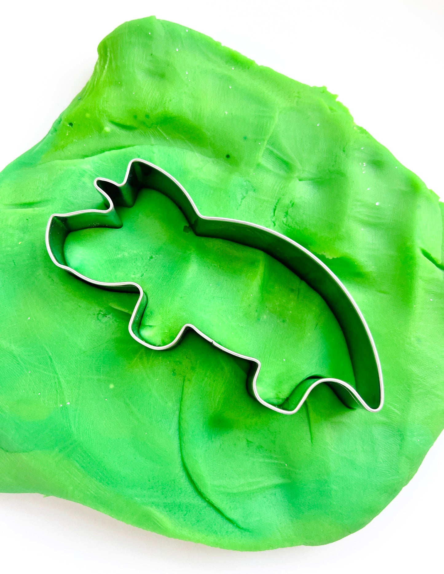 Dinosaur Discovery Kit