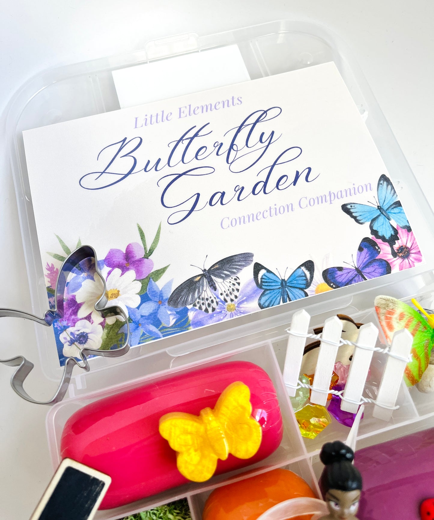 Butterfly Garden Play Dough Kit