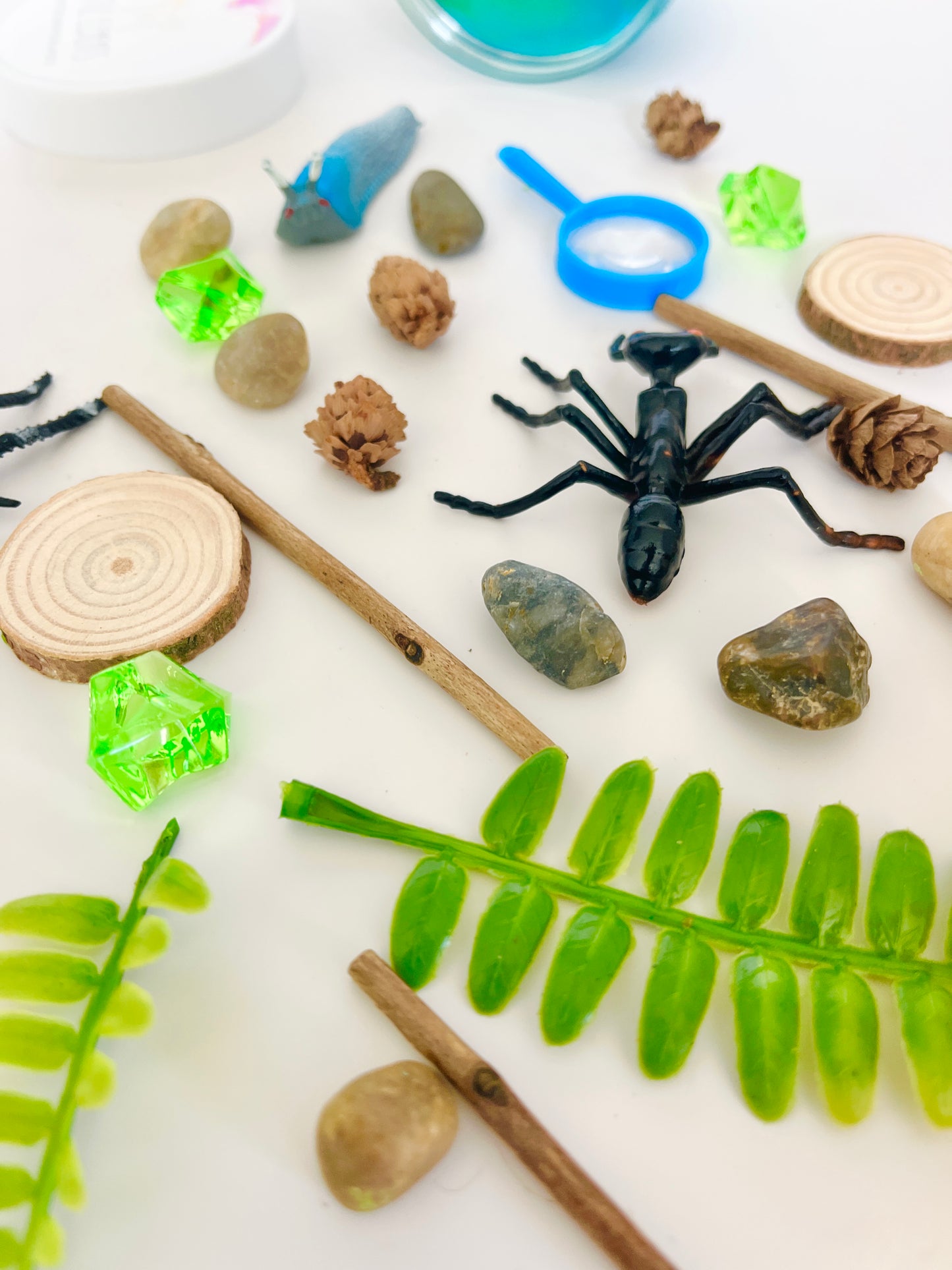 Insect Play Dough Jar