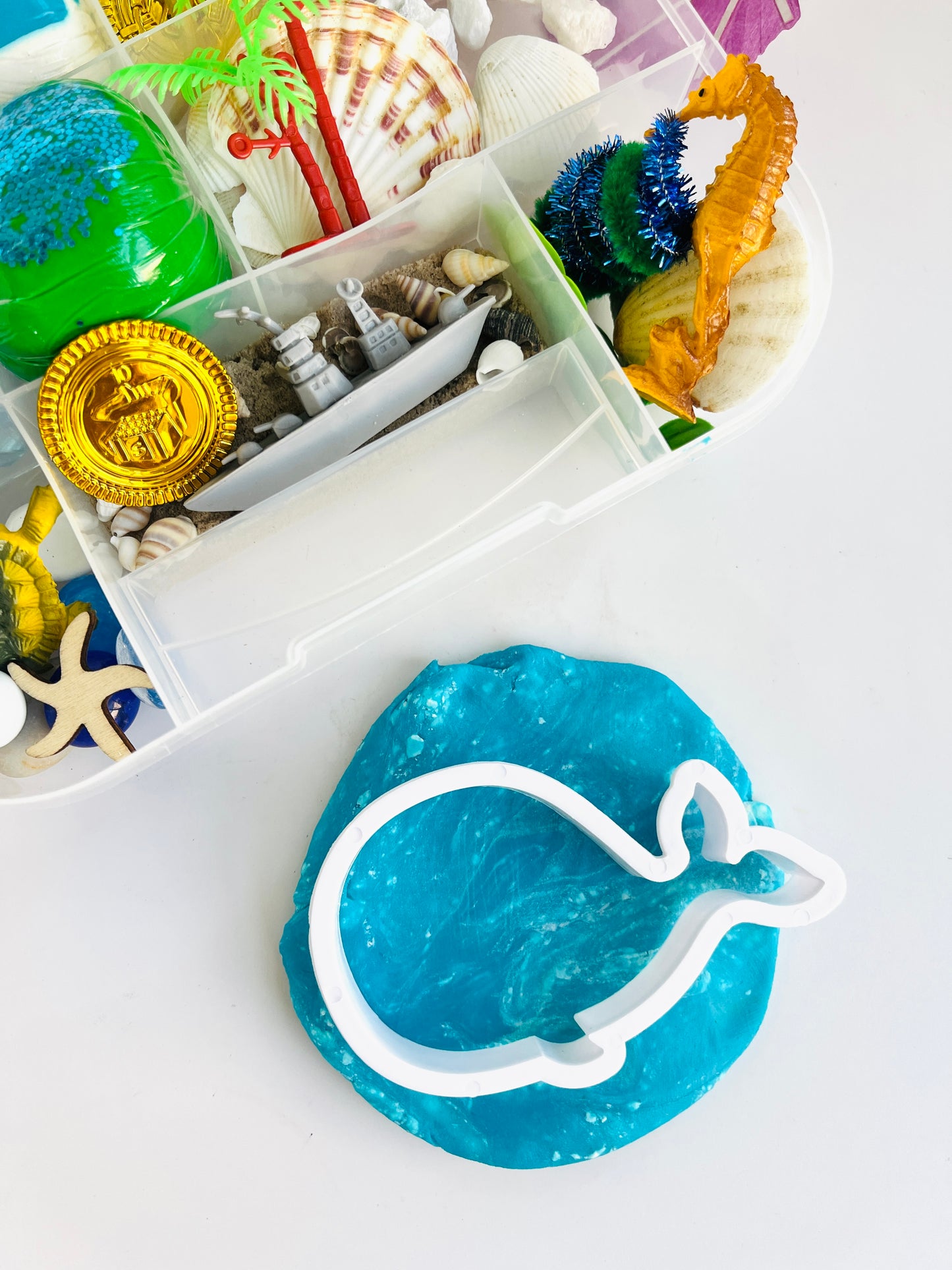 Ocean Play Dough Kit