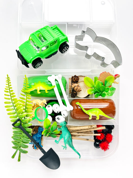 Dinosaur Discovery Kit